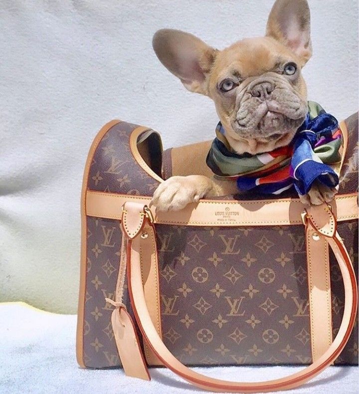 French in Borsa Vuitton 5